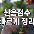 유망중소기업으로 선정되기 위해 반드시 확인해야 할 자격 요건과 실무 가이드