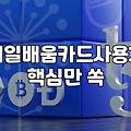 국비지원 내일배움카드로 무엇을 배울 수 있고 실제 활용은 어떻게 할까