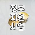 정부 보조금, 받기 전에 꼭 알아야 할 것들