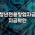 청년정부지원금 종류와 신청 전 반드시 확인해야 할 조건