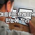 여성 바람막이, 굳이 비싼 거 사야 할까요? 솔직한 고민과 경험