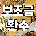 국가 보조금의 작동 방식과 현실적인 한계점들