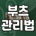 겨울부츠, 10년 신어도 새것처럼 관리하는 비법