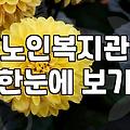 요즘 복지관 프로그램 찾다가 든 생각들