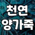 직장인 아우터 고민을 끝내줄 시리즈가죽자켓 현명하게 고르는 기준
