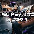 어설픈 고용지원금 신청, 기대와 다른 현실 속에서 결국 놓친 것들