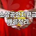 정부정책자금대출 신청 조건과 실제로 승인받는 절차