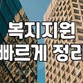 복지지원, 완벽한 정답은 없다: 직접 겪어본 현실과 냉정한 조언