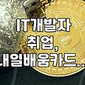 국비 지원 IT 아카데미 선택할 때 확인해야 할 실질적인 부분들
