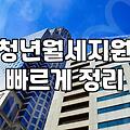 정책 지원금, 막상 신청해보니 알게 된 불편한 진실들