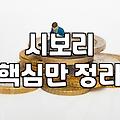 실패 없는 남자블루종 선택을 위한 현실적인 구매 가이드