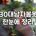 30대 남자, 봄옷 쇼핑, 현실적인 조언과 실패 사례