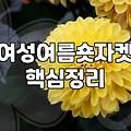 여름 셔츠 자켓, 비싼 브랜드보다는 활용도가 먼저입니다