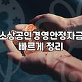 정부지원정책자금 신청 조건과 한도 금액 확인 방법