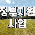보조금 신청 자격과 실질적인 지급 기준