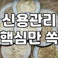 소진공대출 신청 전 반드시 따져봐야 할 현실적인 심사 기준