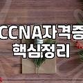 네트워크 엔지니어 준비 시 우선순위를 두어야 할 자격증과 실무 역량