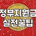 정부지원금, 신청하기 전에 꼭 알아야 할 현실적인 고민들