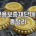 정부지원 운전자금대출, 기대와 현실의 괴리에서 배운 몇 가지