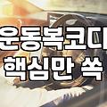 크롭 후드집업과 스포티한 일상, 그 실전적인 고민들