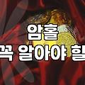 실패 없는 겨울조끼 선택을 위한 쇼핑 호스트의 실전 지침서