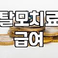 탈모약 건강보험 적용, 현실적으로 따져봐야 할 것들