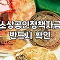 정부정책자금대출 신청 조건과 자격 요건 분석