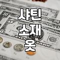 샤틴 스커트, 알고 사면 더 좋아요
