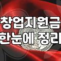 정부보조금 신청부터 실제 지급까지 거치는 필수 과정과 요건