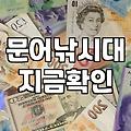문어낚시 해보겠다고 장비부터 샀다가 낭패 본 이야기