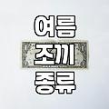 여름에 시원하게 입을 만한 조끼, 어떤 종류가 있나요?