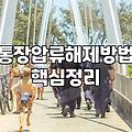 채무 조정 이후에도 남아있는 통장 압류 해제하는 방법