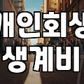 개인회생변제금계산 실제 적용되는 소득과 생계비 산정 기준
