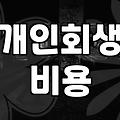 개인회생, 정말로 빛을 볼 수 있는 선택인가에 대하여