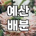 웨딩 준비를 시작할 때 반드시 따져봐야 할 현실적인 비용과 우선순위