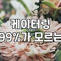 파티웨딩 진행할 때 놓치기 쉬운 현실적인 체크리스트
