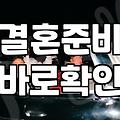 성혼, 그 불확실한 여정에 대하여: 시스템과 본능 사이에서
