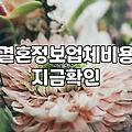 결혼소개비 결정하는 기준과 실제 지불 방식