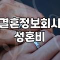 결혼정보회사, 솔직히 성혼비는 얼마 정도 내야 할까?
