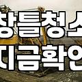 도색하려다 창틀 먼지만 세 시간째 닦았다