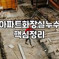 화장실 천장에서 물이 새길래 그냥 두면 되는 줄 알았다