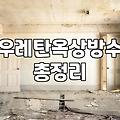 옥상 우레탄 방수, 직접 해보니 알겠는 것들: 비용, 과정, 그리고 현실적인 고민