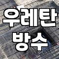 방수페인트 시공 주기와 평당 실제 공사 비용