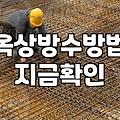 옥상이나 베란다 셀프 방수 작업할 때 꼭 알아야 할 점