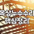 옥상에 바르는 방수제 함부로 샀다가 며칠 내내 고생만 했다
