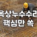 옥상 방수 공사 고민할 때 알아두면 좋은 시트와 페인트 차이
