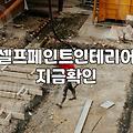 현관문 페인트 칠, 떼어내는 페인트가 정말 답일까? 현실적인 고민들