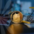 기업재무와 중소기업 신용평가: 투자자들이 알아야 할 필수 정보