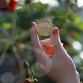 주식 시장에서 RFID 혁신을 추적하라! 📈
