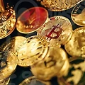 주식 투자의 모든 것! 증권거래소에서 필요한 필수 정보를 알려드립니다